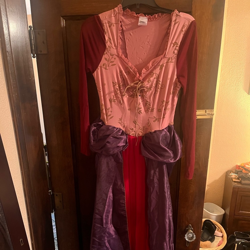 Sarah Sanderson Costume